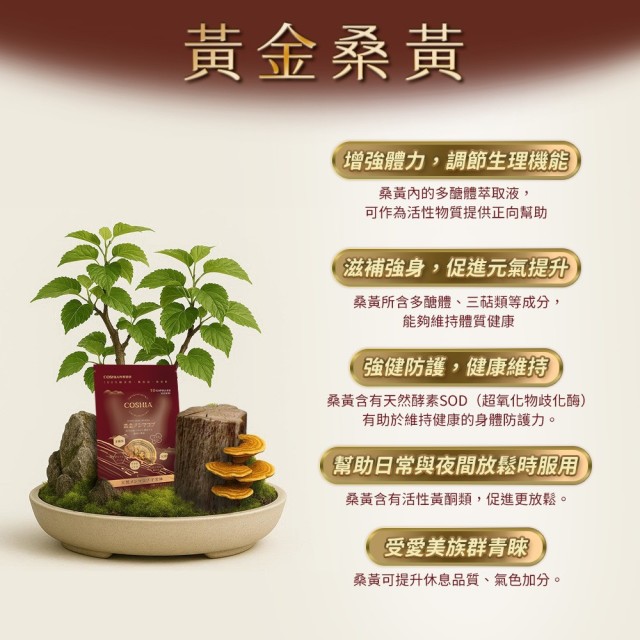 黃金桑黃-萃取膠囊 (6入盒裝/共60粒)