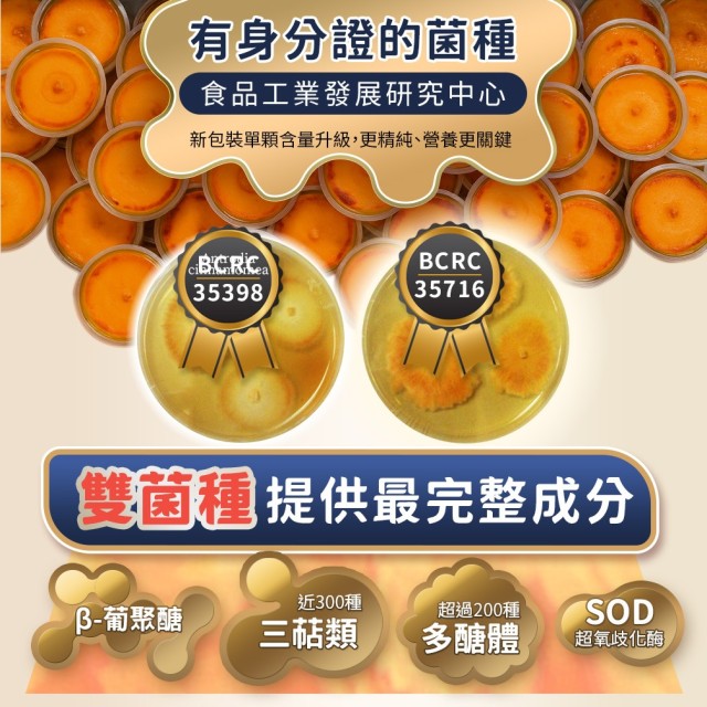 紅寶牛樟芝-萃取膠囊 (6入盒裝/共60粒)