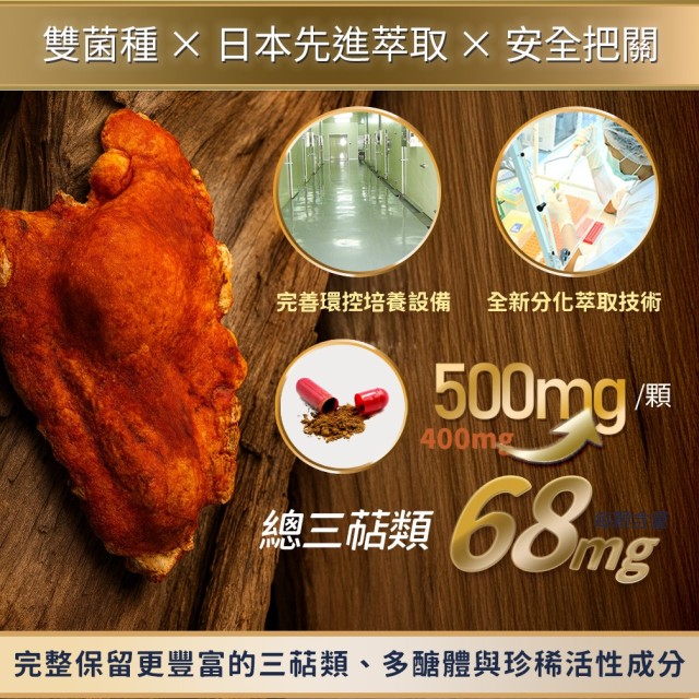 紅寶牛樟芝-萃取膠囊 (6入盒裝/共60粒)
