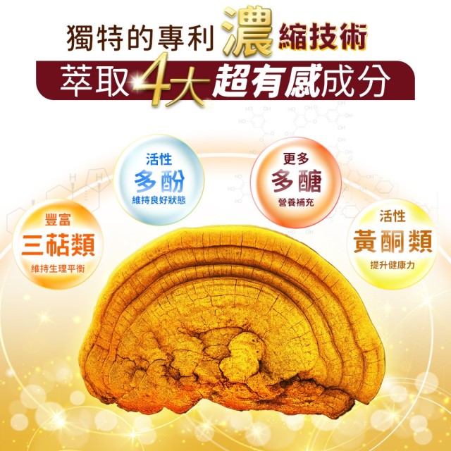 黃金桑黃-萃取膠囊 (6入盒裝/共60粒)