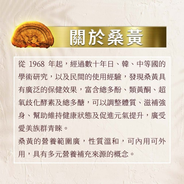 黃金桑黃-萃取膠囊 (6入盒裝/共60粒)