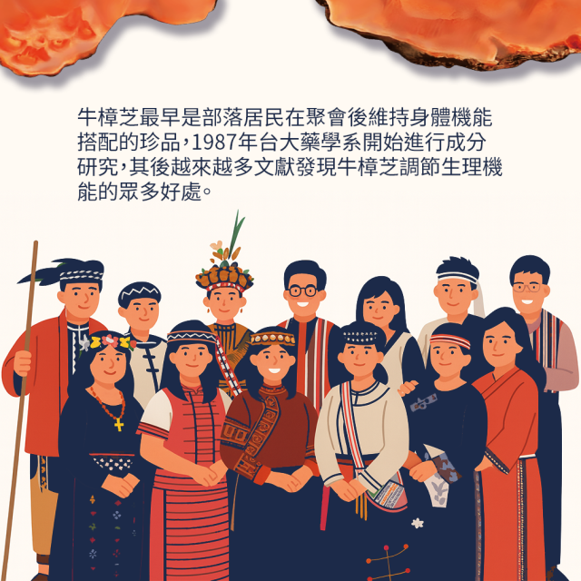 紅寶牛樟芝-萃取膠囊 (6入盒裝/共60粒)