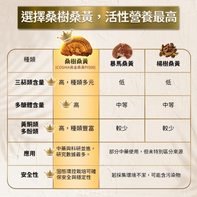 黃金桑黃-萃取膠囊 (6入盒裝/共60粒)