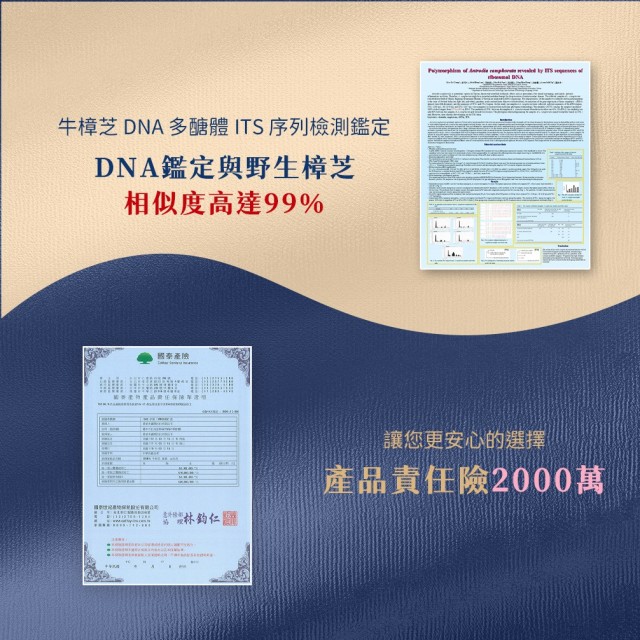 紅寶牛樟芝-萃取膠囊 (6入盒裝/共60粒)