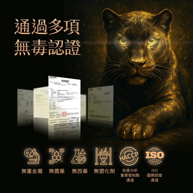 CAM12力男黑瑪卡/6入盒裝