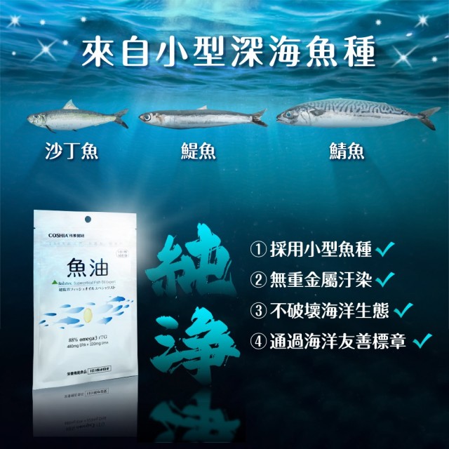 超臨界魚油專家 (6入盒裝/共60粒)